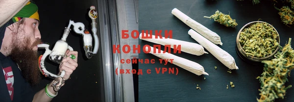 крисы Белокуриха