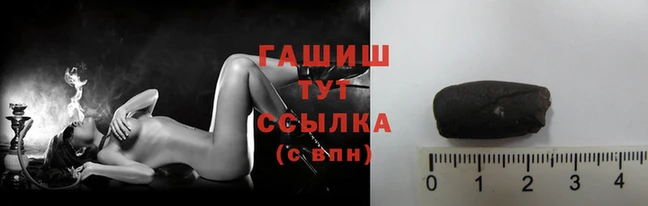 крисы Белокуриха