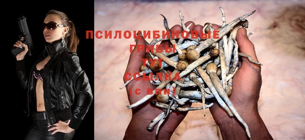 ешки Белоозёрский