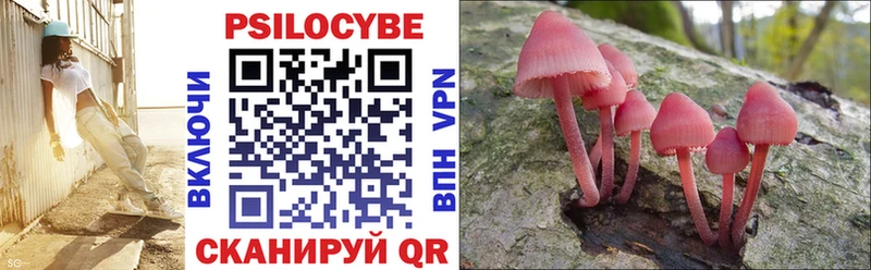Купить где  Снежногорск  Псилоцибиновые грибы Magic Shrooms 